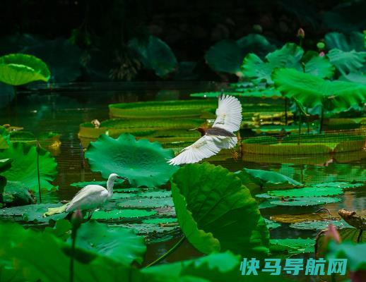 2023年夏天最高温度能多少？夏天很热吃什么解暑