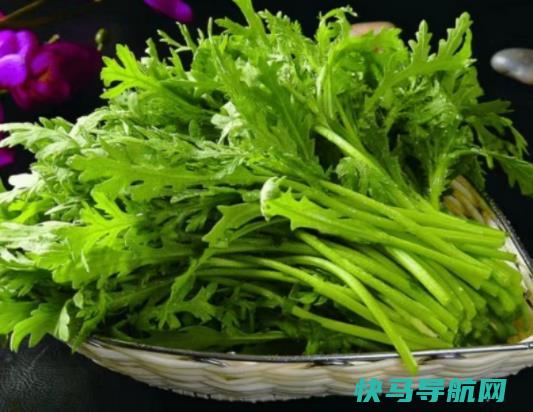 胃寒的人能吃茼蒿吗？吃茼蒿补铁吗？